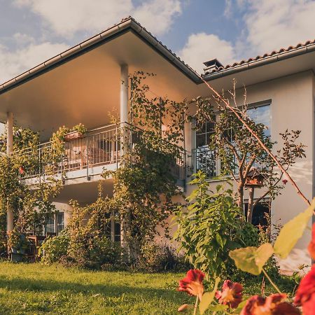 Coraline -Koblach, 6-10 P, 3 Schlafzimmer, Kueche, Riesige Terrasse, Parkplatz, Wifi, Stellplatz Ski المظهر الخارجي الصورة